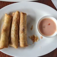 Vegetable spring rolls at Punjabi Rasoi in Tagbilaran