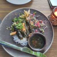 Starter at Ha Veggie - Isarvorstad in Munich