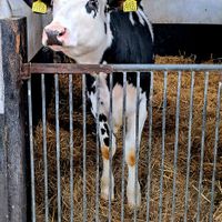  at Sanctuary het Wijland in Darp