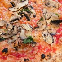 Vegan cheese pizza with mushrooms at Rudy's Pizza Napoletana - Nottingham in Nottingham