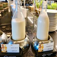 Milk alternatives  at Corniche All Day Dining Restaurant in Abu Dhabi