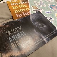 Why Animal Rights Booklet and stickers  at People for the Ethical treatment of Animals in Norfolk