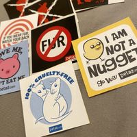 Historical Stickers from My Collection - Anti-Fur Campaigns and NO to Seal Clubbing 😭 I Am NOT a Nugget 🫶🏽  at People for the Ethical treatment of Animals in Norfolk