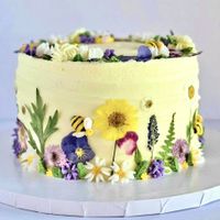   at Compassion Confection Co. - No Storefront in Apopka