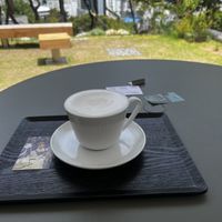 Great view  at Momos Coffee Flagship Store in Busan