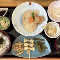 Vegan Yuba Set  at Yuba-gozen Sun Field in Nikko