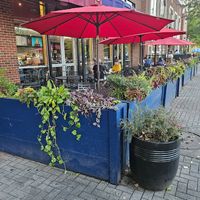  at Mellow Mushroom in Chattanooga