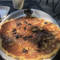 Blueberry corn pancakes  at French Meadow Bakery & Cafe in Minneapolis