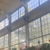   at Bamboo's Streetfood in Leipzig