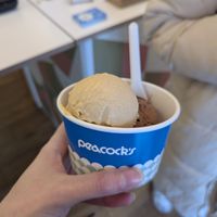 Pumpkin spice and dark chocolate cherry at Peacock's Ice Cream  in Glasgow