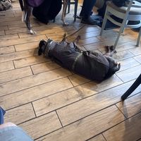   at Coorie by the Coast in Dunfermline