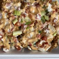 Half order of nachos at Healthy Sins Vegan Cafe in Lockport