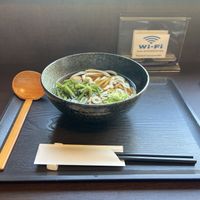 Vegan udon  at Hanamizuki Shirakawa in Shirakawa