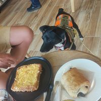  at Lucy's Coffee in Lescar