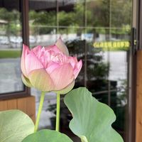   at One Side Juice - 一面汁原·纯素 in Chongqing