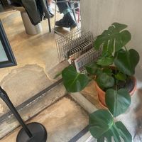  at Pascal Specialty Coffee in Madrid