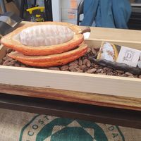 Decor at Dwaar Chocolate in Keego Harbor