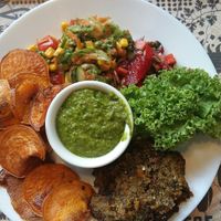 Quinoa cutlet, salad, spinach dip, sweet potato chips at Nova Krova in Krakow