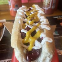 Vegan hot dog. Sauerkraut and caramelized onion. 4900 pesos + 1500 to add fries   at Que Weno Tu Completo in Punta Arenas