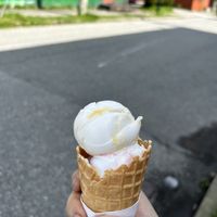 mango sticky rice and strawberry daifuku   at Elephant Garden Creamery in Vancouver