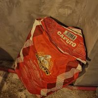  at Drunken Pizza in Jeju