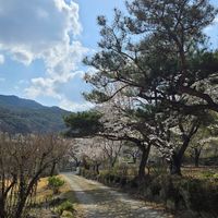  at Café Walden in Daegu