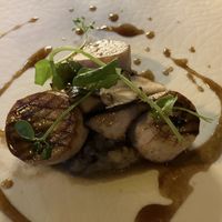 Paddenstoel met aubergine   at The SHOEGE in S-hertogenbosch