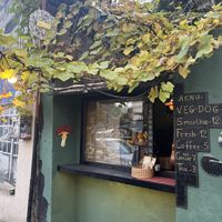   at Rafa-veg-dog🌱  in Tbilisi