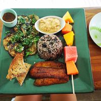 Vegan gallo pinto (hummus, roasted courgettes with garlic, plantain, bread, fruit, rice and beans) at Como En Mi Casa in Puerto Viejo De Talamanca