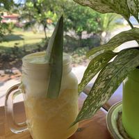 Pineapple smoothie 🍍 at Como En Mi Casa in Puerto Viejo De Talamanca