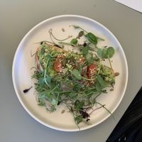 Avocado toast   at The Wren in Saltburn-by-the-sea