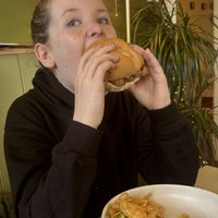   at The Wren in Saltburn-by-the-sea