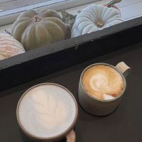   at NOÖK in Sainte Adele