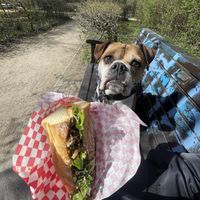 Banh Mi Hoisin BBQ Tofu  at OTTI CHII in Hamburg