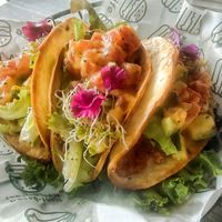 Taco, highly recommend at Mito in Ipoh