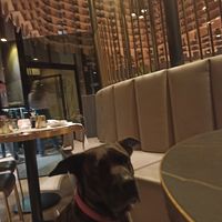 Accettano I cani at Kaori Japanese Restaurant in Varedo