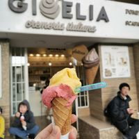 Vegan & gf ice cream at Gioelia in Pompei