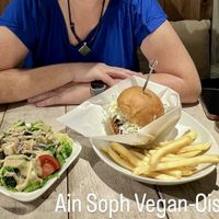 Soy cutlet burger with slaw, side salad with sesame dressing - oishi!!!  at AIN SOPH.Soar in Tokyo