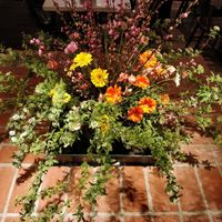 Ikebana class at the restaurant final result at AIN SOPH.Soar in Tokyo