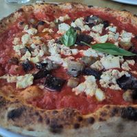 fake norma at Giua in Brussels