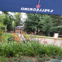 The parc at Giua in Brussels