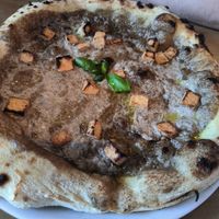 Tofina at Giua in Brussels