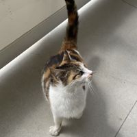 Taverna Neraida, Lake Kournas  at Taverna Neraida  in Crete