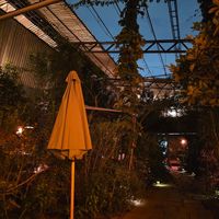  at CHUI in Mexico City