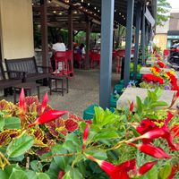 Seasonal patio seating at Broder's Pasta Bar in Minneapolis