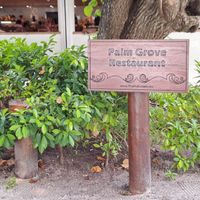  at Palm Grove Restaurant in Fihalhohi