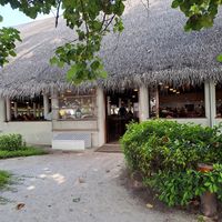  at Palm Grove Restaurant in Fihalhohi