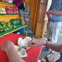 Sampling freah coconut given to us buy the owner.  at Happy Fruits Smoothie in Semporna