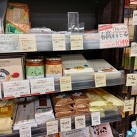  at Organic Plaza - Demachi in Kyoto