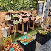  at Organic Plaza - Demachi in Kyoto